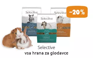 Glodavci akcija