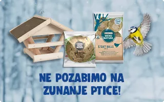 Zunanje ptice