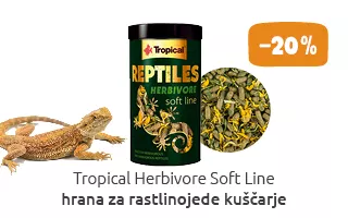 teraristika akcija